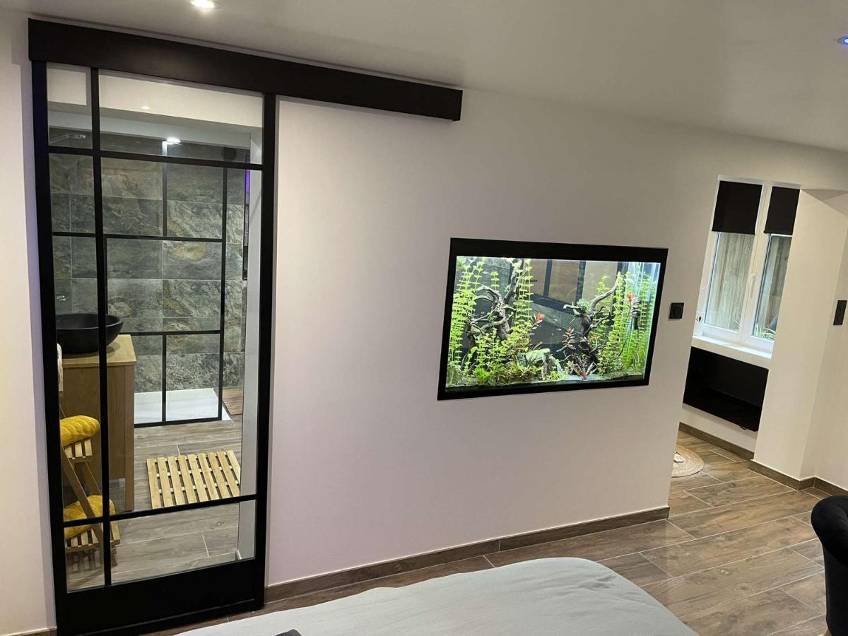鲁昂Nuit De La Sagesse "Jacuzzi Terrasse Et Parking Prive"公寓 外观 照片